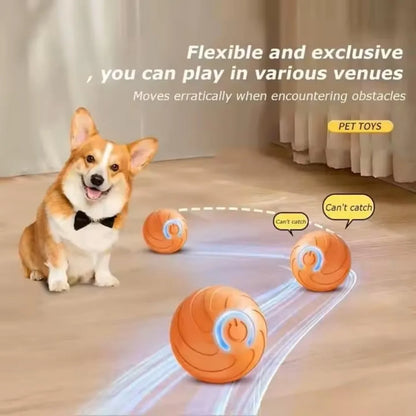 Smart Automatic Cat Toy Ball with Tail – Interactive Chase Toy