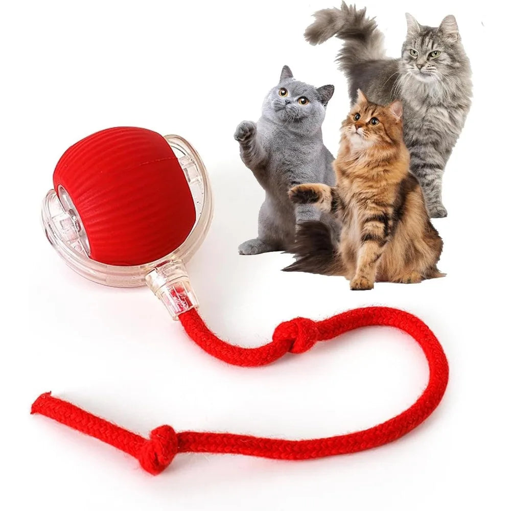 Red automatic cat toy ball with tail, clear wind-up section and red rope