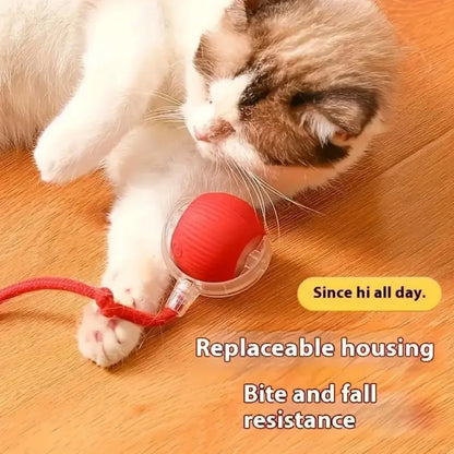 Smart Automatic Cat Toy Ball with Tail – Interactive Chase Toy