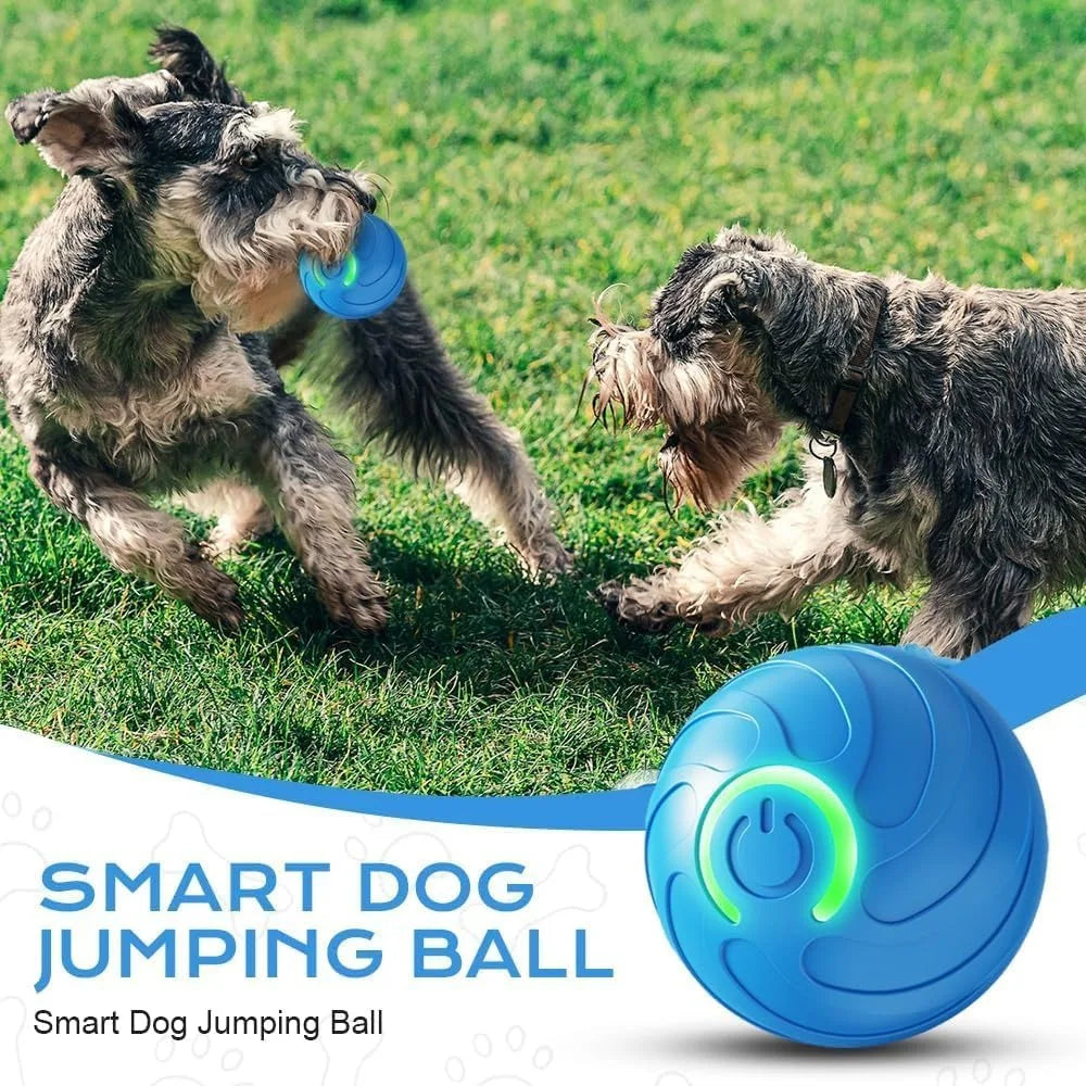 Smart Automatic Cat Toy Ball with Tail – Interactive Chase Toy
