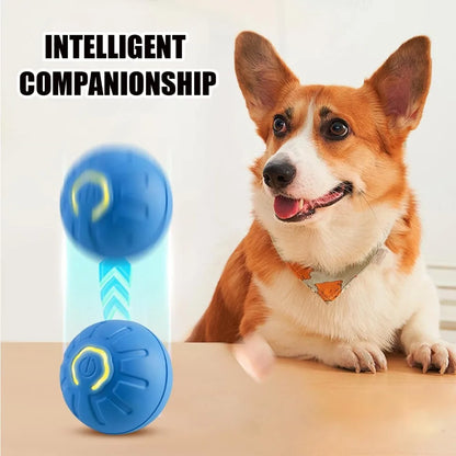 Smart Automatic Cat Toy Ball with Tail – Interactive Chase Toy