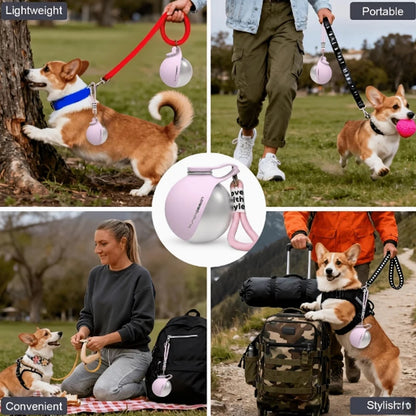 2-in-1 portable dog water bottle with bowl, pink and silver, for leash-style carry
