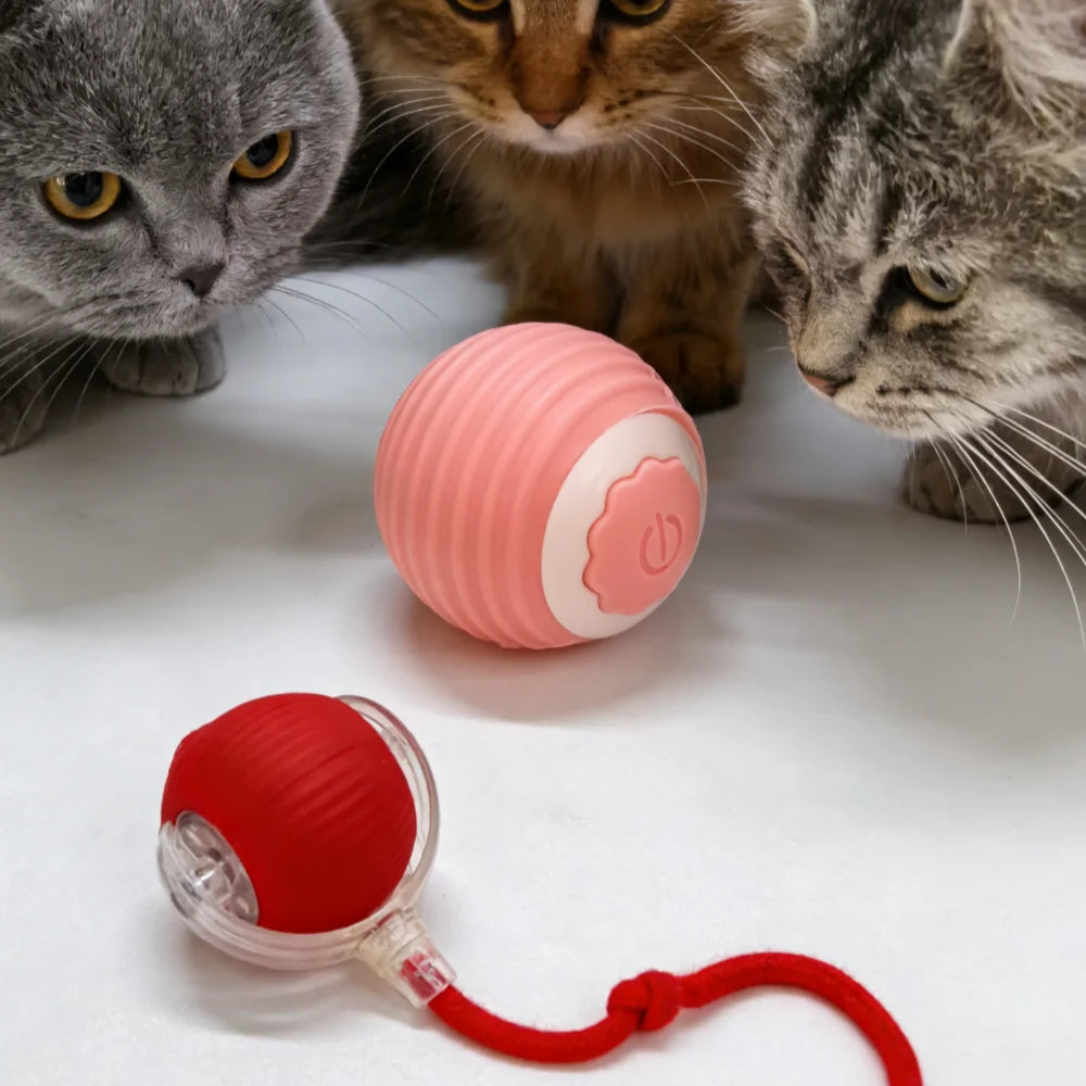 Smart Automatic Cat Toy Ball with Tail – Interactive Chase Toy
