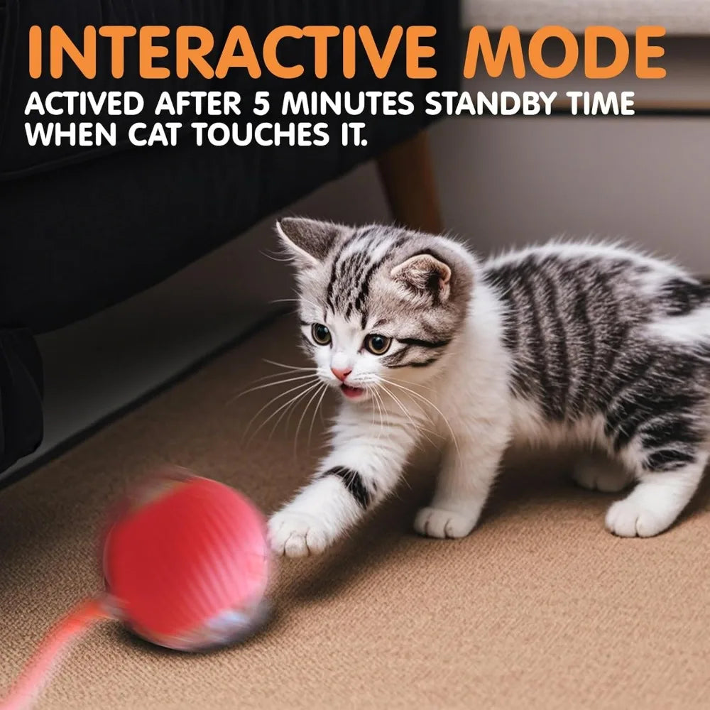 Smart Automatic Cat Toy Ball with Tail – Interactive Chase Toy