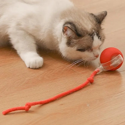 Smart Automatic Cat Toy Ball with Tail – Interactive Chase Toy