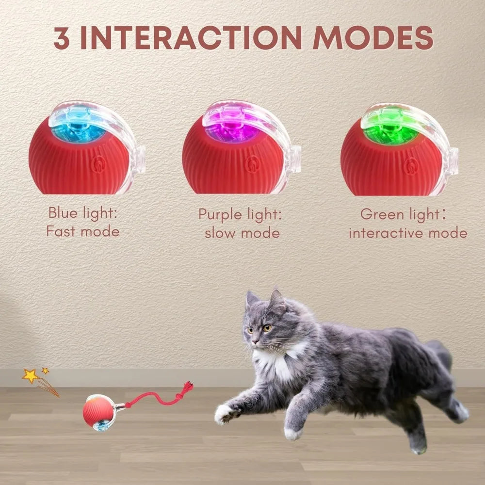 Smart Automatic Cat Toy Ball with Tail – Interactive Chase Toy