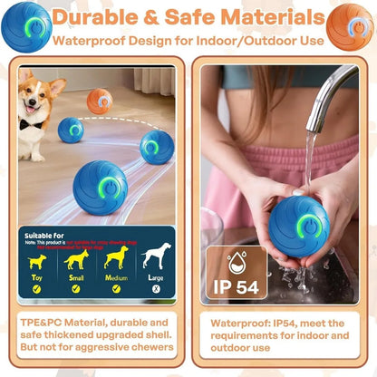 Smart Automatic Cat Toy Ball with Tail – Interactive Chase Toy