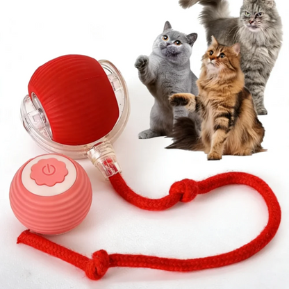 Red automatic cat toy ball with tail rope and pink button top
