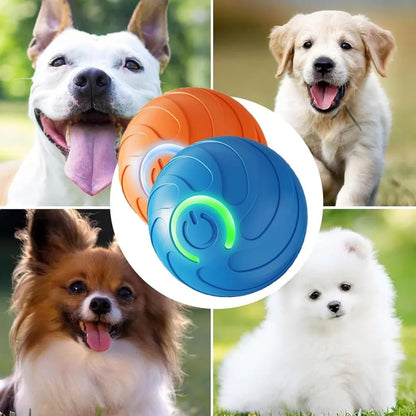 Smart Automatic Cat Toy Ball with Tail – Interactive Chase Toy