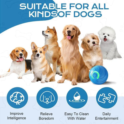 Smart Automatic Cat Toy Ball with Tail – Interactive Chase Toy