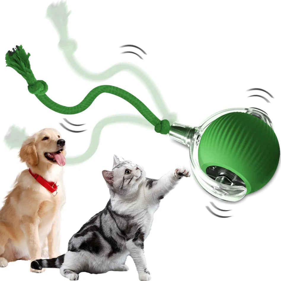 Green automatic cat toy ball with clear head and tail rope for chasing