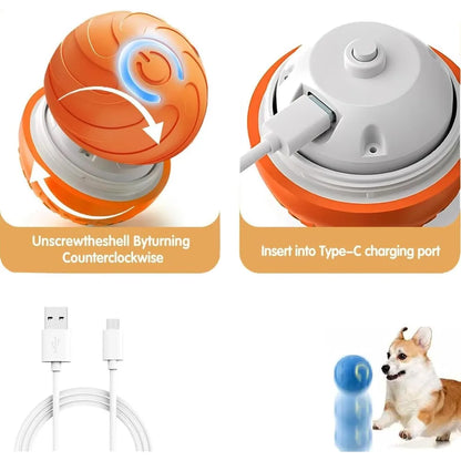 Smart Automatic Cat Toy Ball with Tail – Interactive Chase Toy
