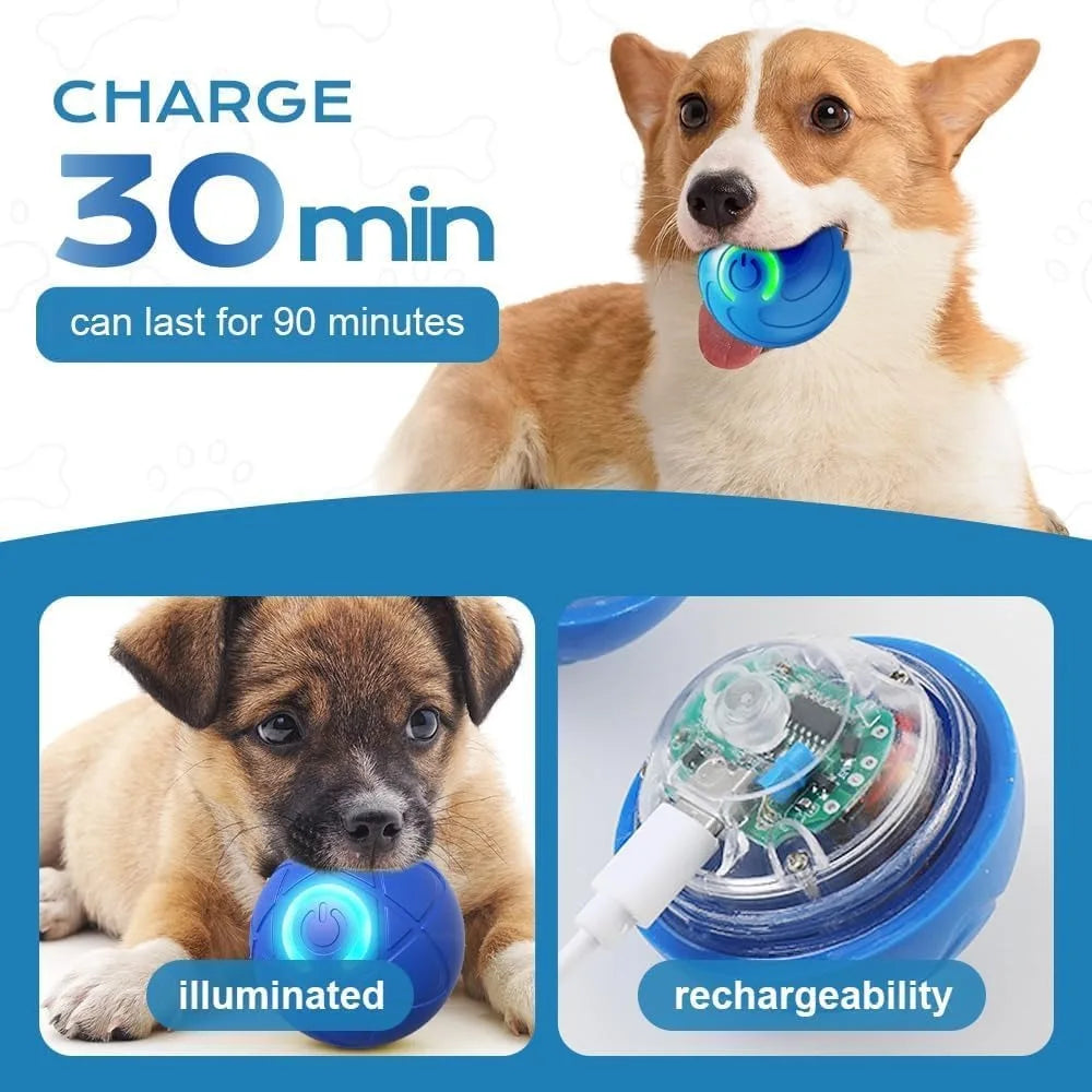 Smart Automatic Cat Toy Ball with Tail – Interactive Chase Toy