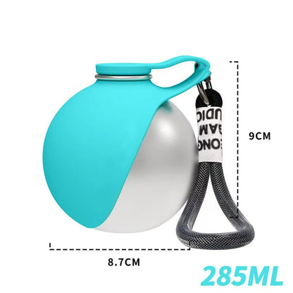 2-in-1 portable dog water bottle with bowl, teal and silver, with carry strap