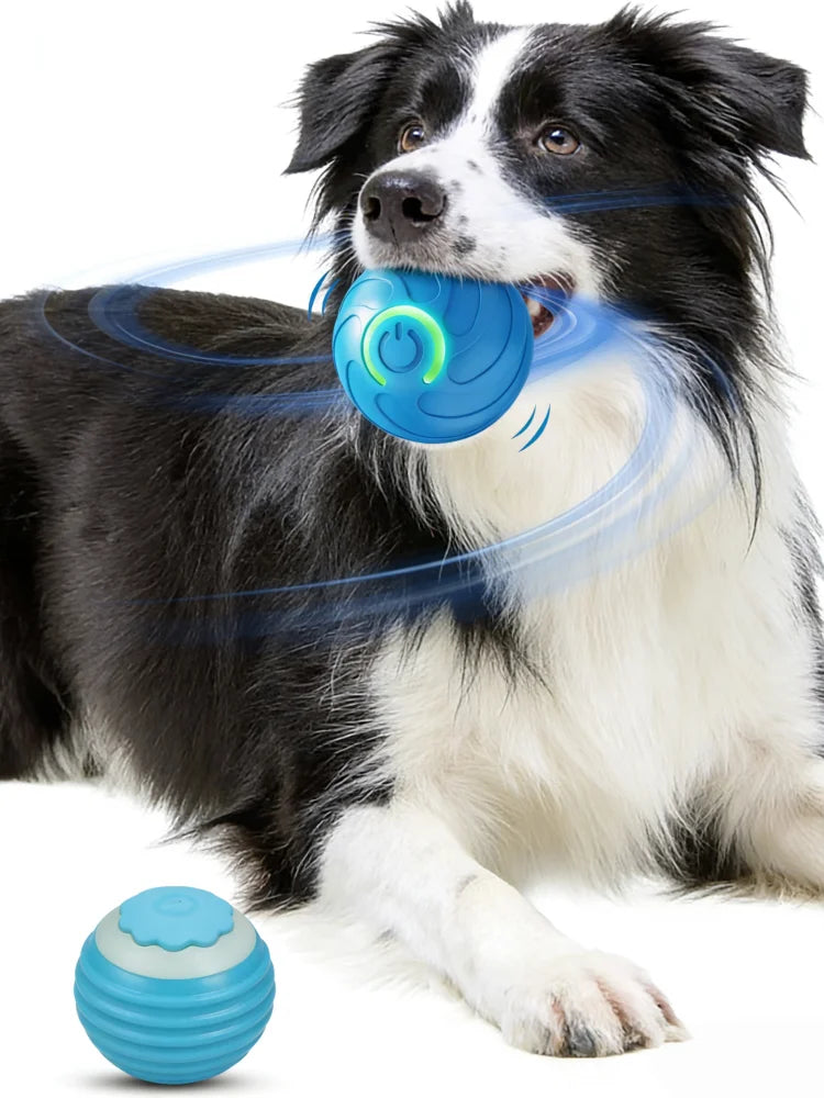 Smart Automatic Cat Toy Ball with Tail – Interactive Chase Toy