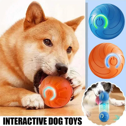 Smart Automatic Cat Toy Ball with Tail – Interactive Chase Toy