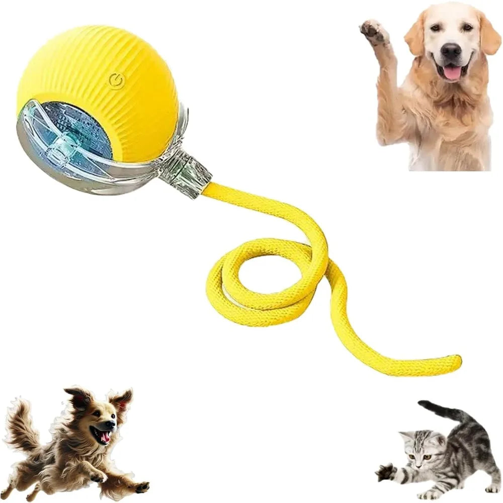 Smart Automatic Cat Toy Ball with Tail – Interactive Chase Toy