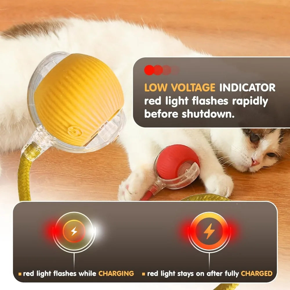 Smart Automatic Cat Toy Ball with Tail – Interactive Chase Toy