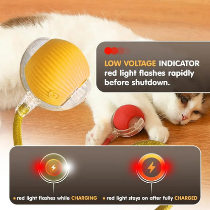 Smart Automatic Cat Toy Ball with Tail – Interactive Chase Toy